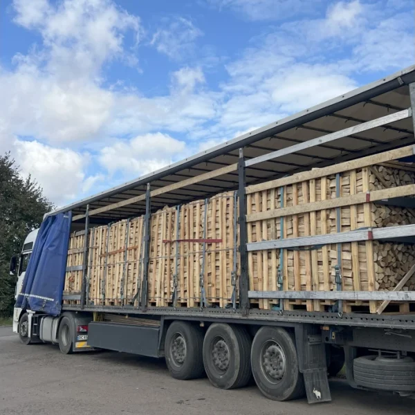 LKW Brennholz Hainbuche Buche · 22 Paletten